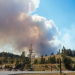 Controlled forest fire, Hayden Valley